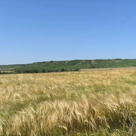 Und Ruhe Otel Nieder-Olm (Rhineland-Palatinate)